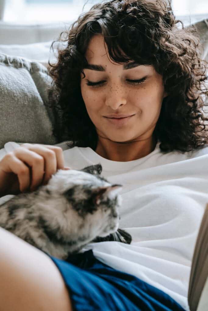 cute cat showing affection for human