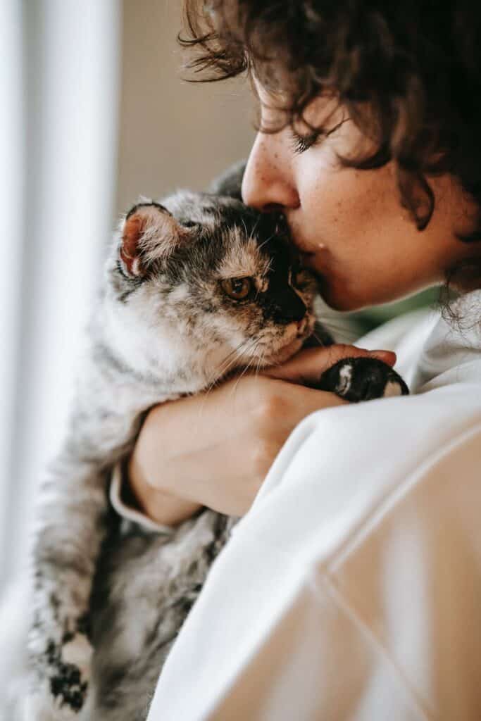 crop woman kissing and cuddling cat at home