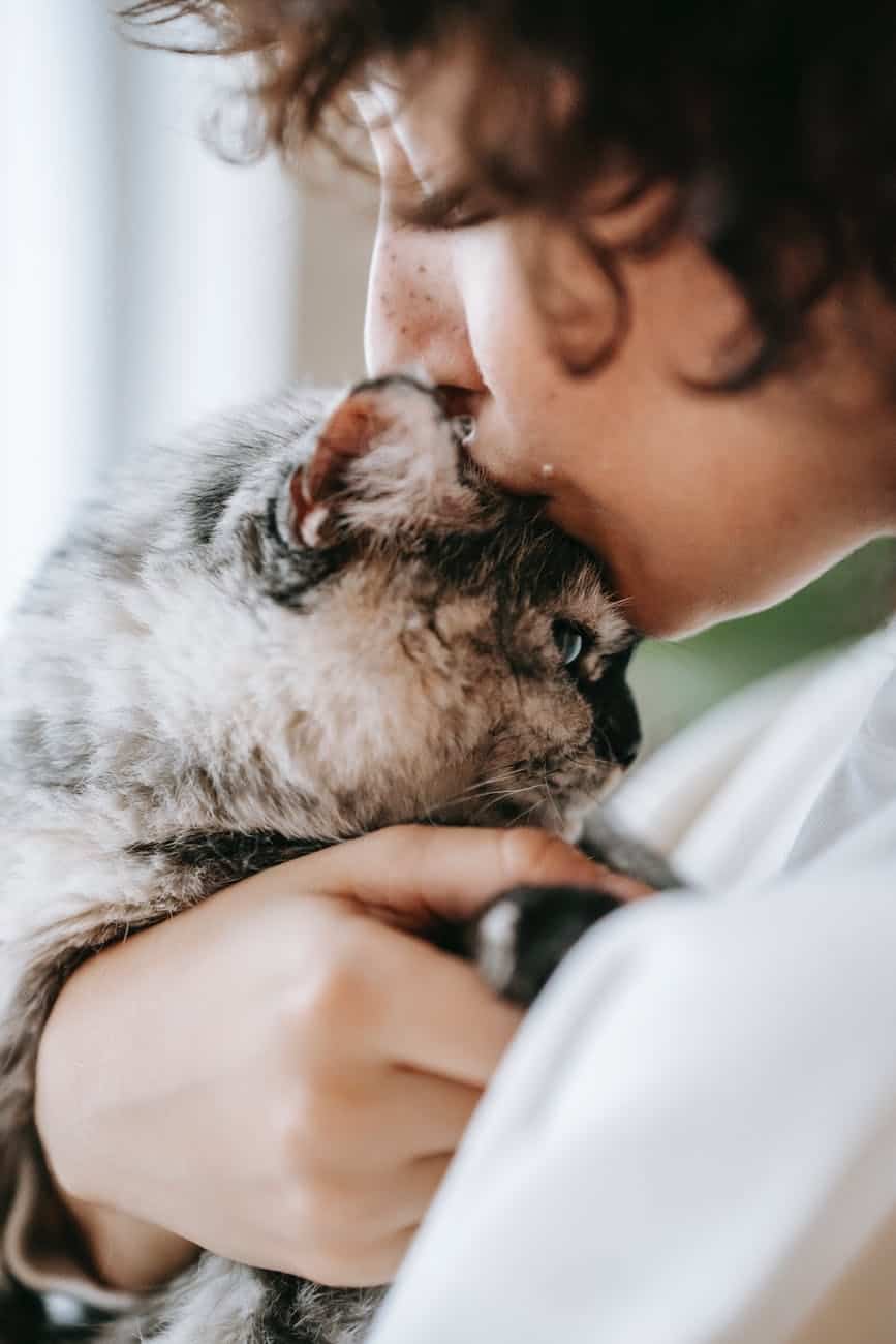 woman apologizing to fluffy cat