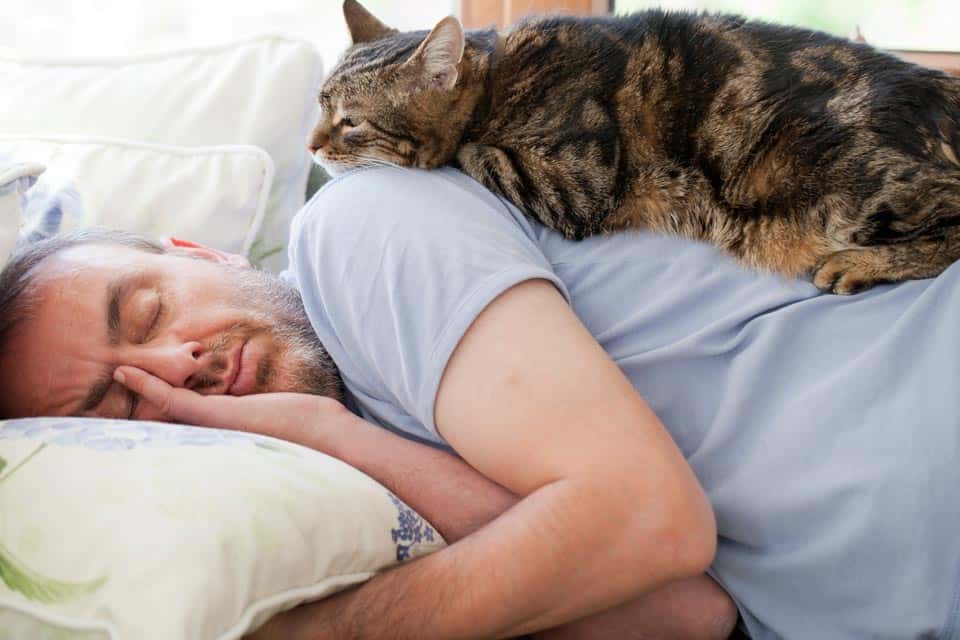 reasons-why-your-cat-always-sleeps-on-you