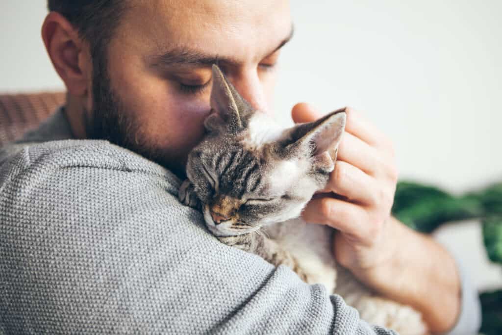 do cats see us as their parents - cat cuddling with man