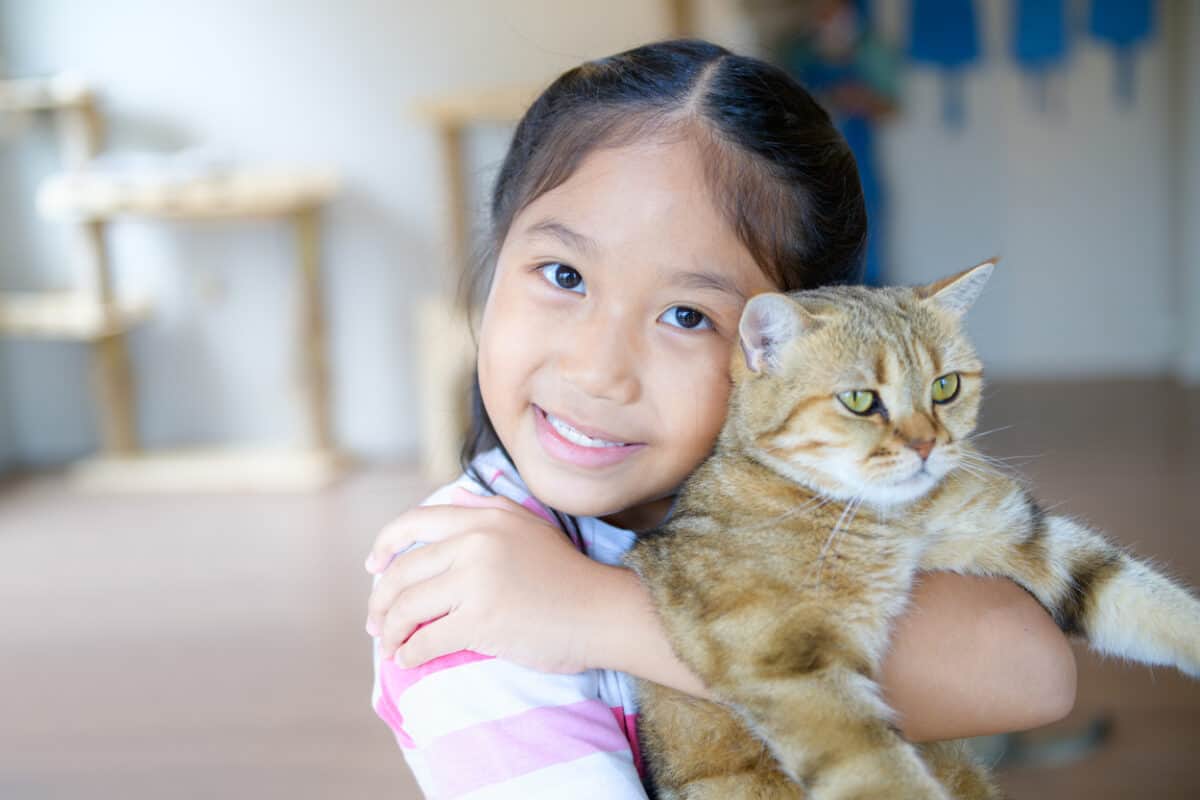 young asian girl with old cat