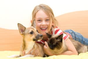 girl with siamese cat and dog