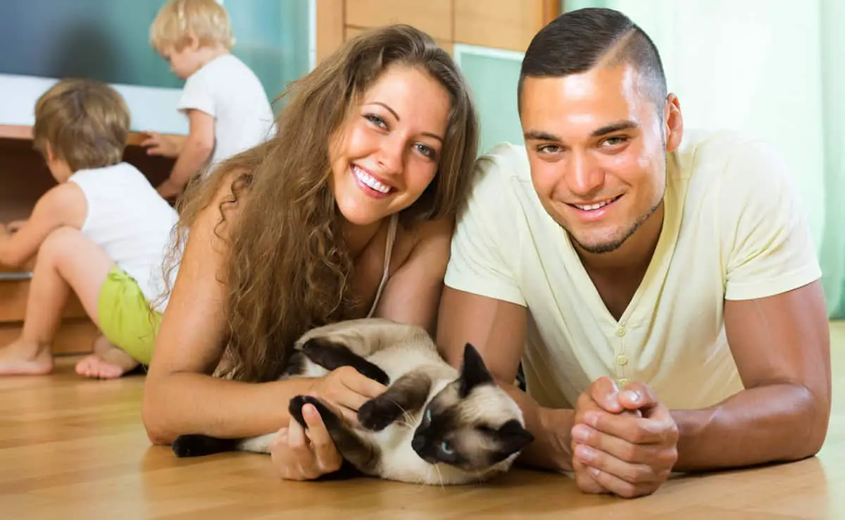 family with siamese cat