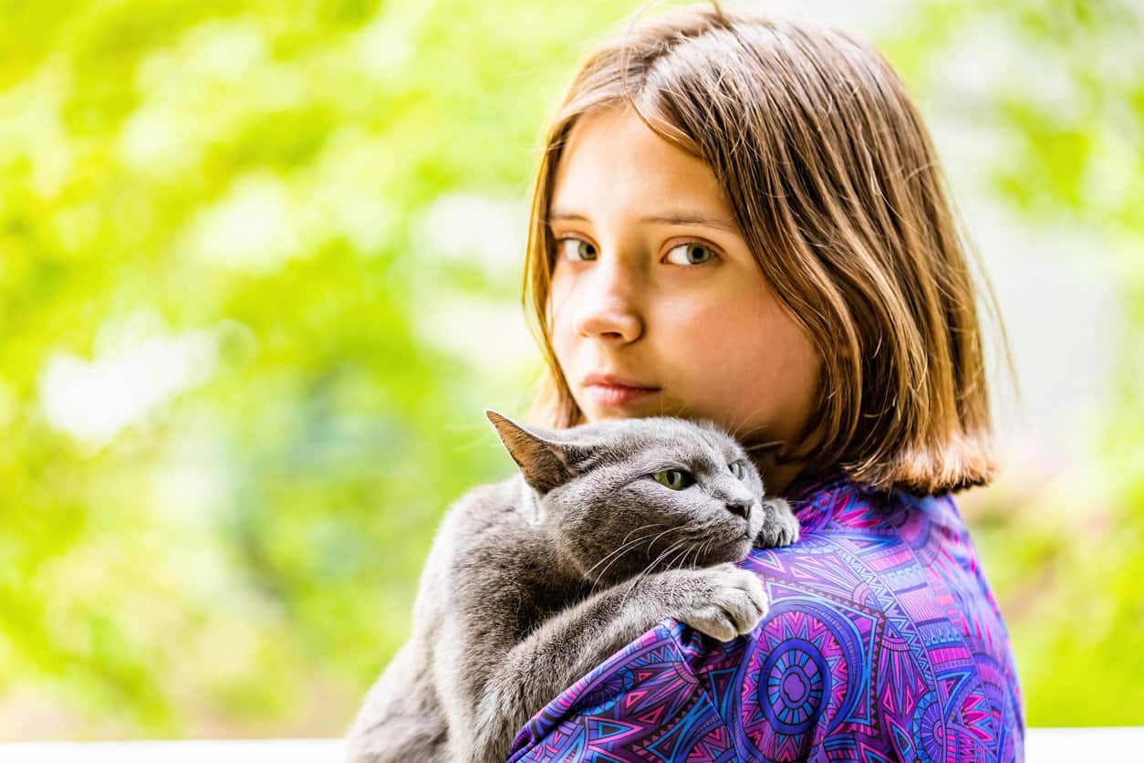 Where to Buy a Russian Blue Cat