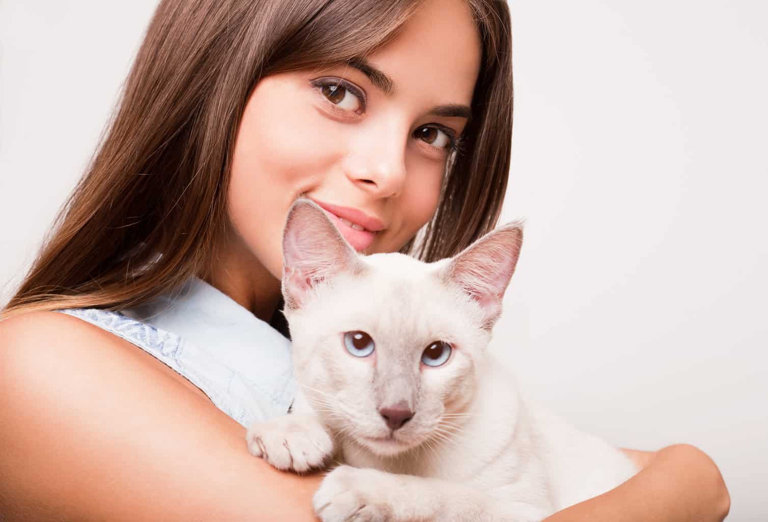 How Much Do Siamese Cats Cost? – Lifetime Expenses